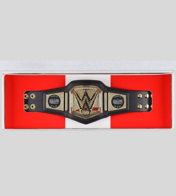 WWE Survivor Series 2024 Championship Belt - Vancouver Special Edition